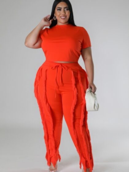 plus size women's outfit