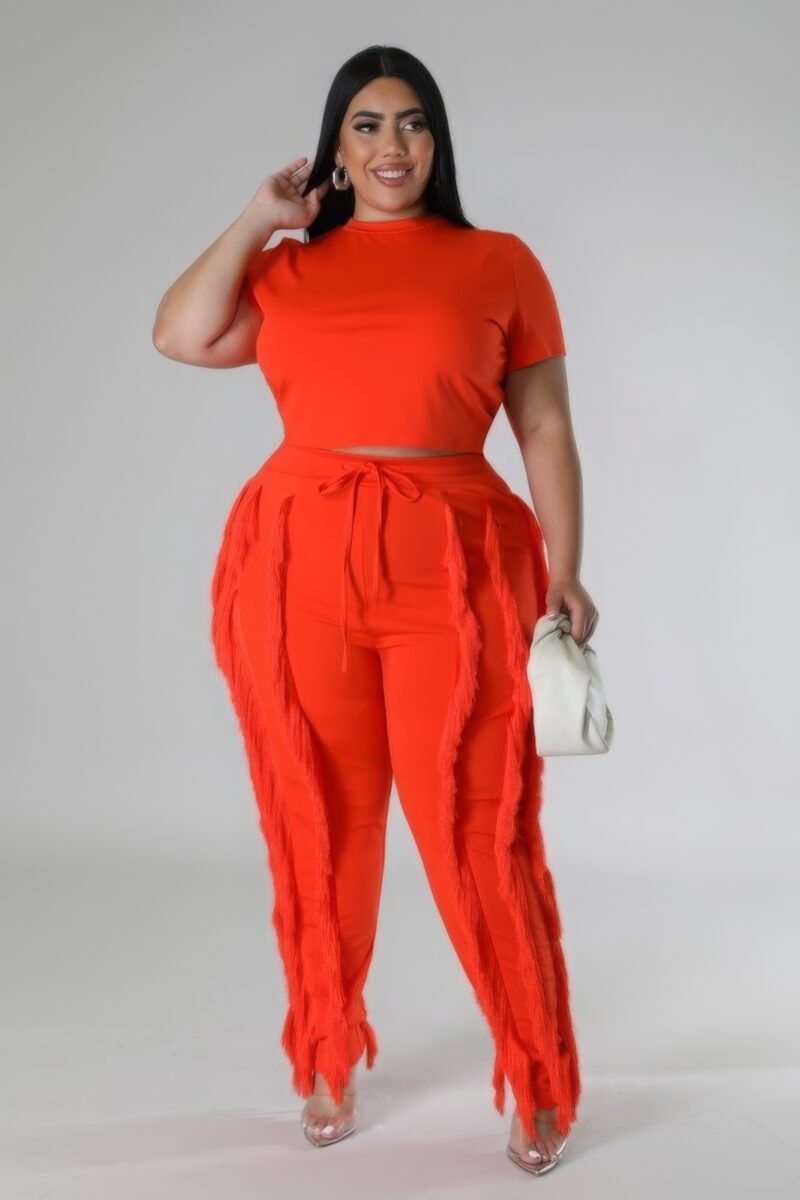 plus size women's outfit